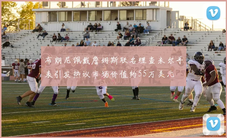 布朗尼佩戴詹姆斯联名理查米尔手表引发热议市场价值约55万美元